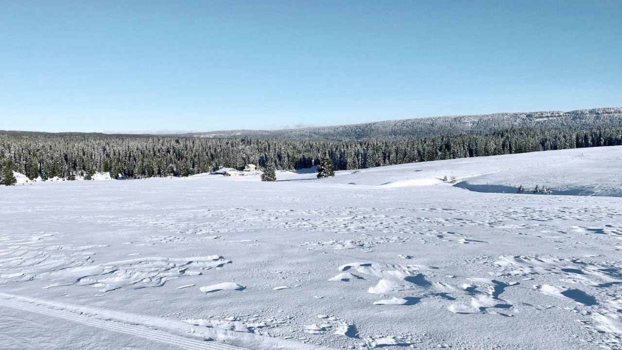 Appartement Ideal Pour Ete Et Hiver, Situe Au Pied Des Pistes De Ski Et Des Sentiers De Randonnee Prémanon Exterior foto